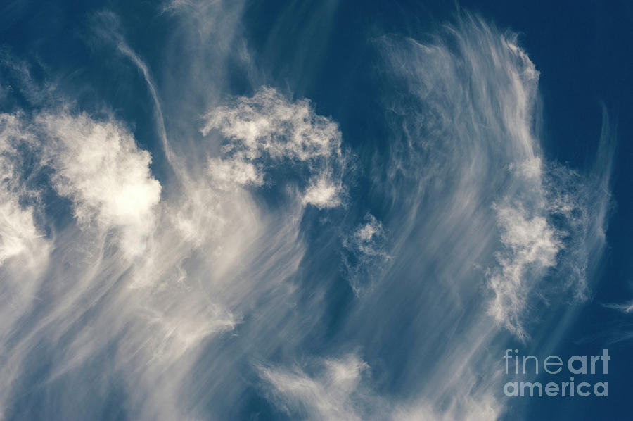 Cirrus Fibratus Fair Weather Clouds #11 Photograph by Jim Corwin