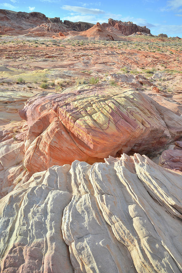 Colorful Sandstone in Valley of Fire #16 Photograph by Ray Mathis
