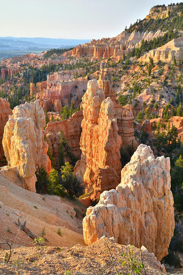 Fairyland Canyon #42 Photograph by Ray Mathis