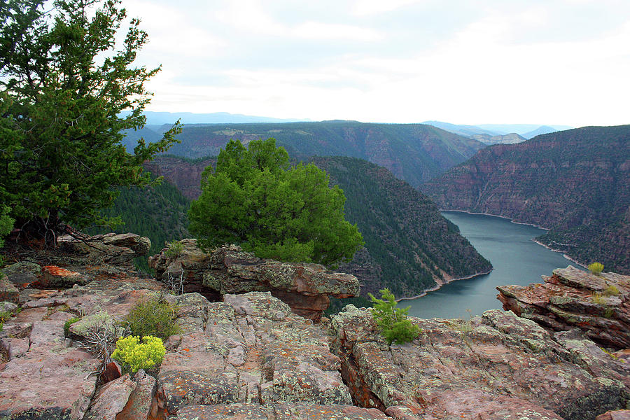 Flaming Gorge National Park #11 Photograph by Ellen Tully