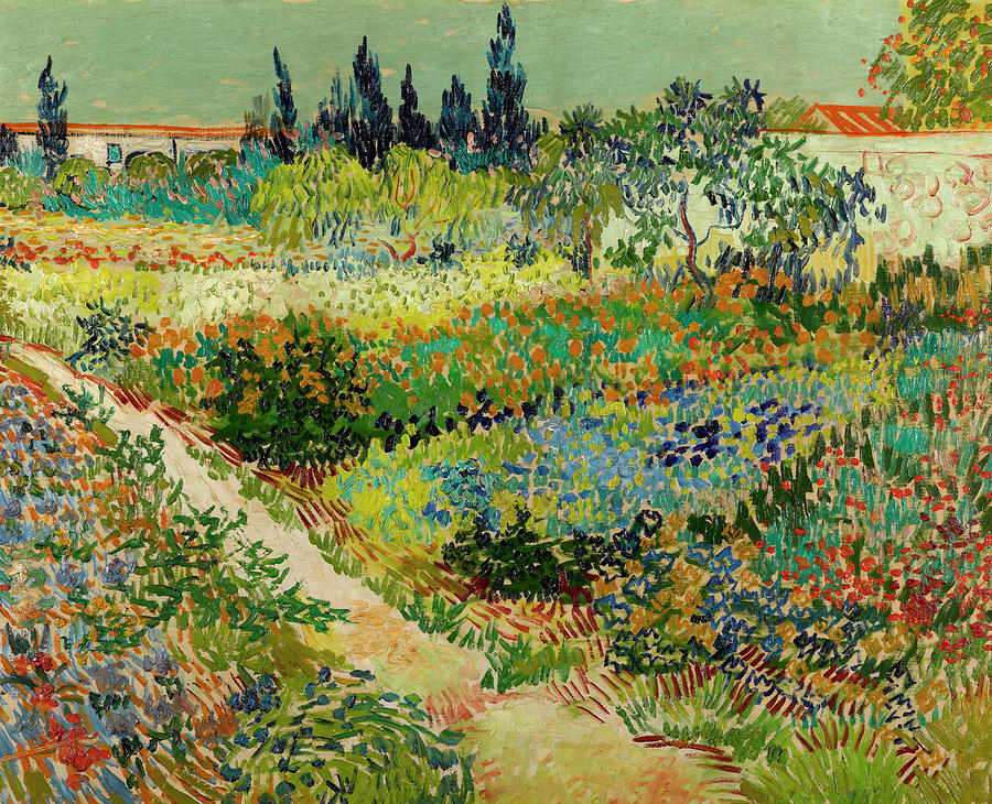 Vincent Van Gogh Painting - Garden at Arles #11 by Vincent van Gogh
