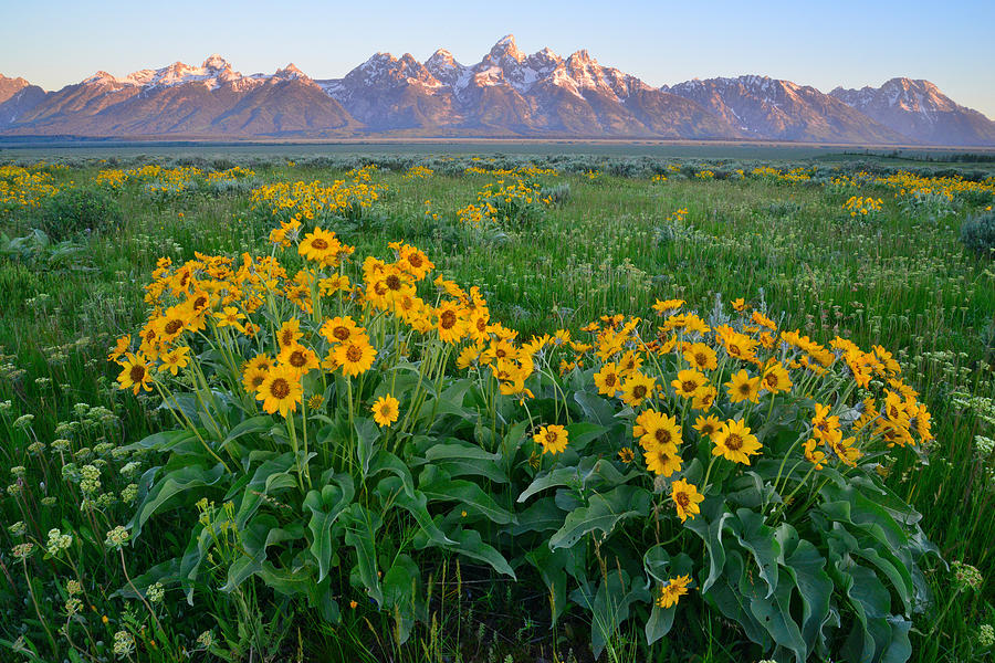 Grand Teton National Park #11 Photograph by Ray Mathis