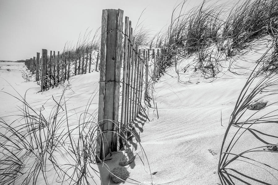 Grassy Windy Sand Dunes On The Beach #11 Photograph by Alex Grichenko