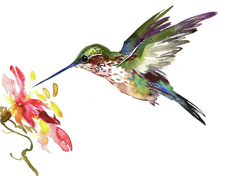 Hummingbird #6 Painting by Suren Nersisyan