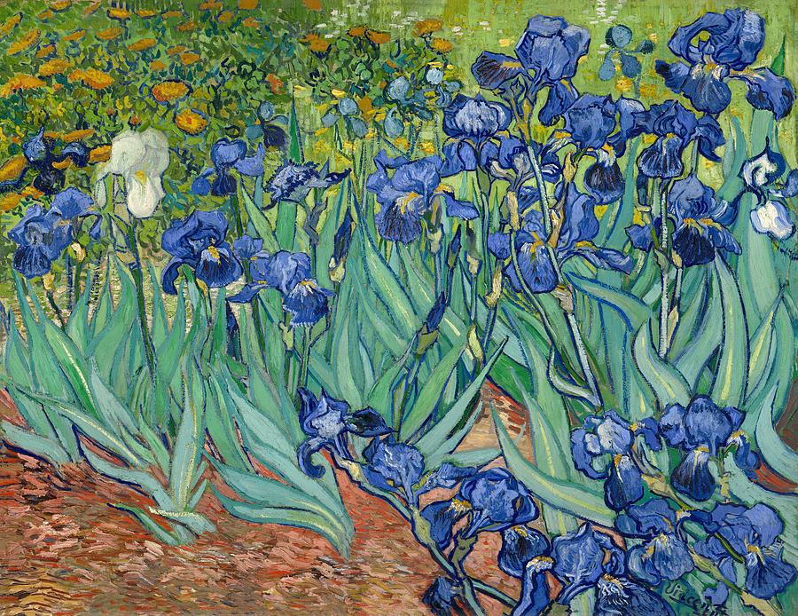 Vincent Van Gogh Painting - Irises #11 by Mountain Dreams
