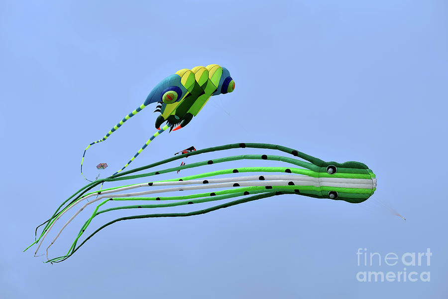 Kites flying during Kite festival #11 Photograph by George Atsametakis