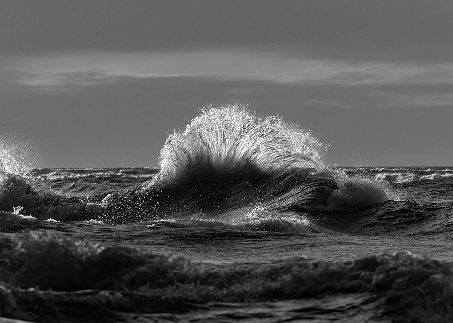 Lake Erie Waves #11 Photograph by Dave Niedbala