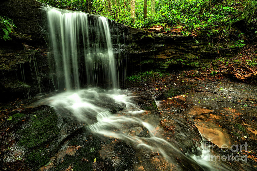 Lin Camp Branch Waterfall #11 Photograph by Thomas R Fletcher