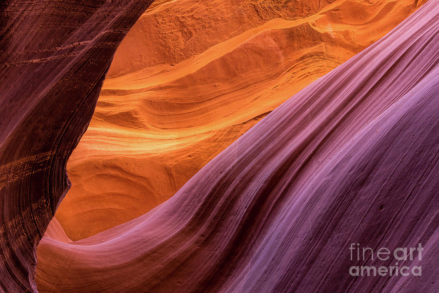 Lower Antelope Canyon #19 Photograph by Craig Shaknis