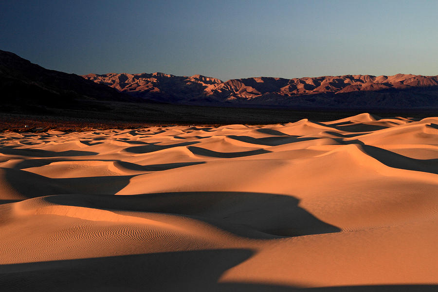 Mesquite Sand dunes in Death Valley National park #11 Photograph by Pierre Leclerc Photography