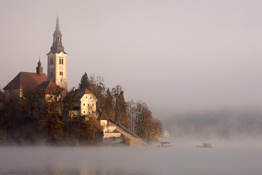 Misty Lake Bled Photograph by Ian Middleton