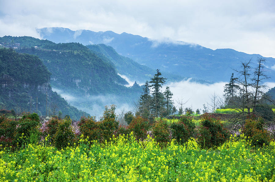 Mountains scenery in the mist #11 Photograph by Carl Ning