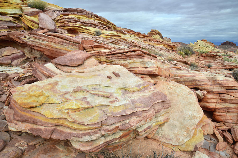 Multicolored Sandstone in Valley of Fire #19 Photograph by Ray Mathis