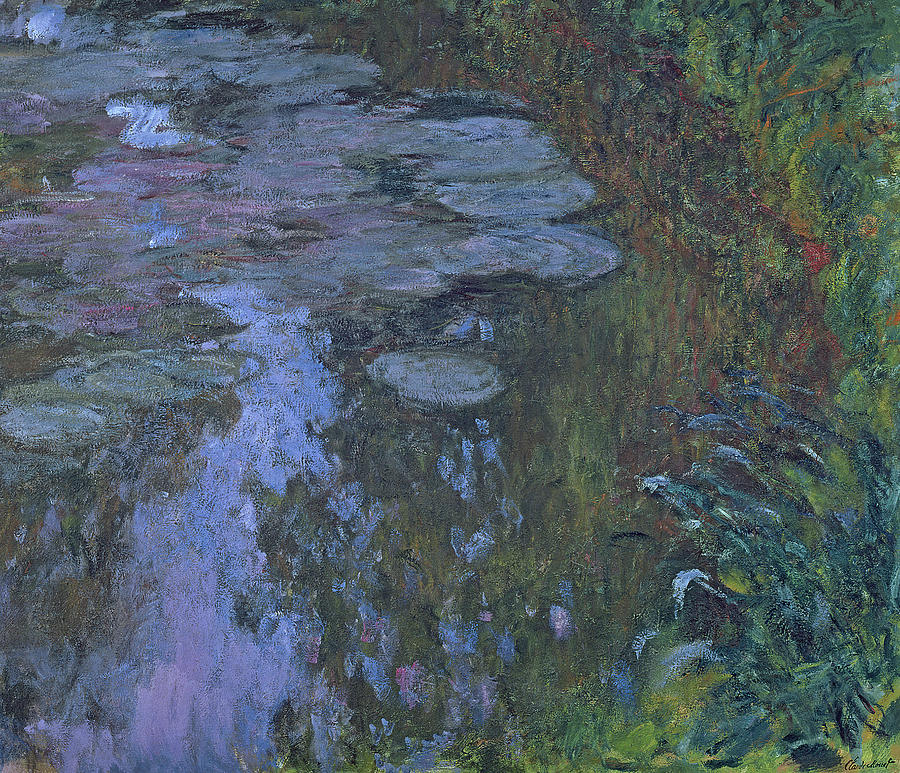 Claude Monet Painting - Nympheas by Claude Monet