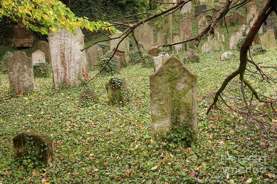 Old Jewish Cemetery #11 Photograph by Michal Boubin
