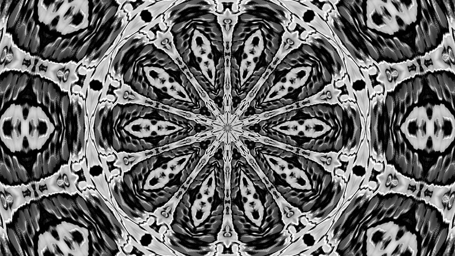 Snowflake #11 Digital Art by Belinda Cox