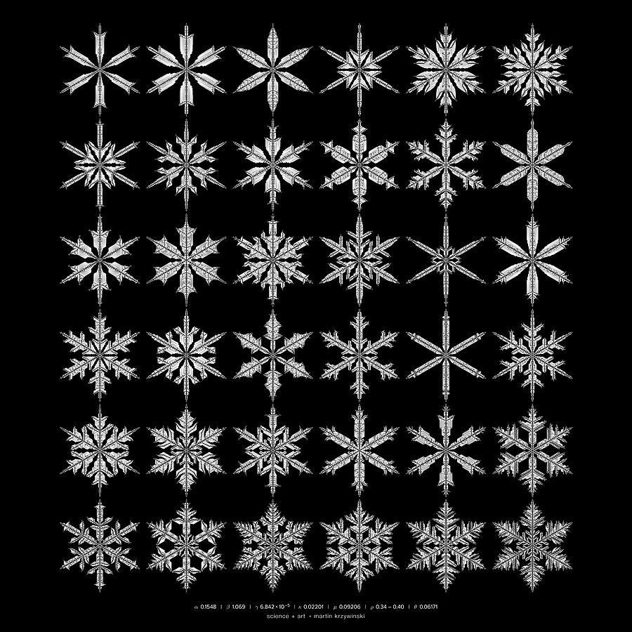 Snowflake simulation #11 Digital Art by Martin Krzywinski