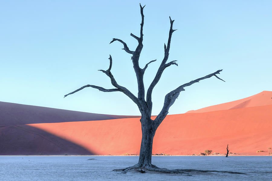 Sossusvlei - Namibia #11 Photograph by Joana Kruse