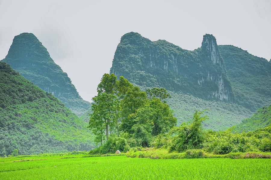 The beautiful karst rural scenery #11 Photograph by Carl Ning