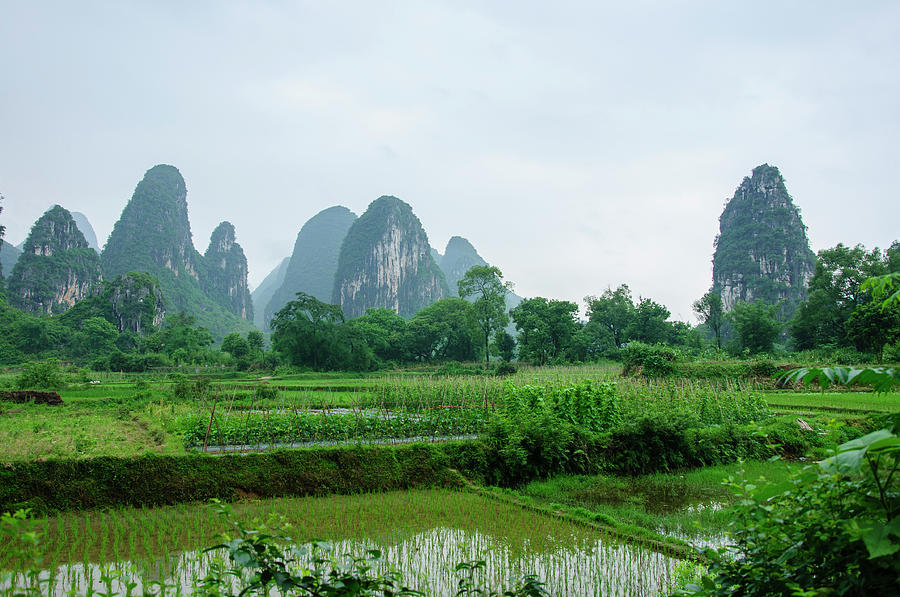 The beautiful karst rural scenery in spring #11 Photograph by Carl Ning