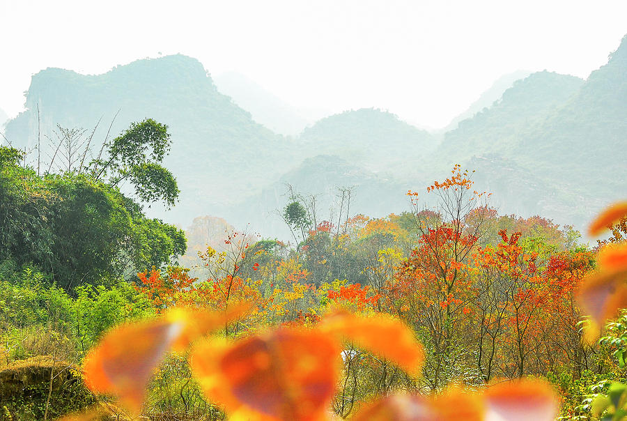 The colorful autumn scenery #11 Photograph by Carl Ning