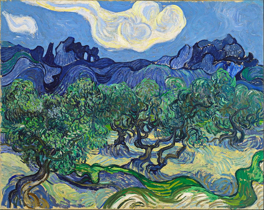  The Olive Trees #12 Painting by Vincent van Gogh