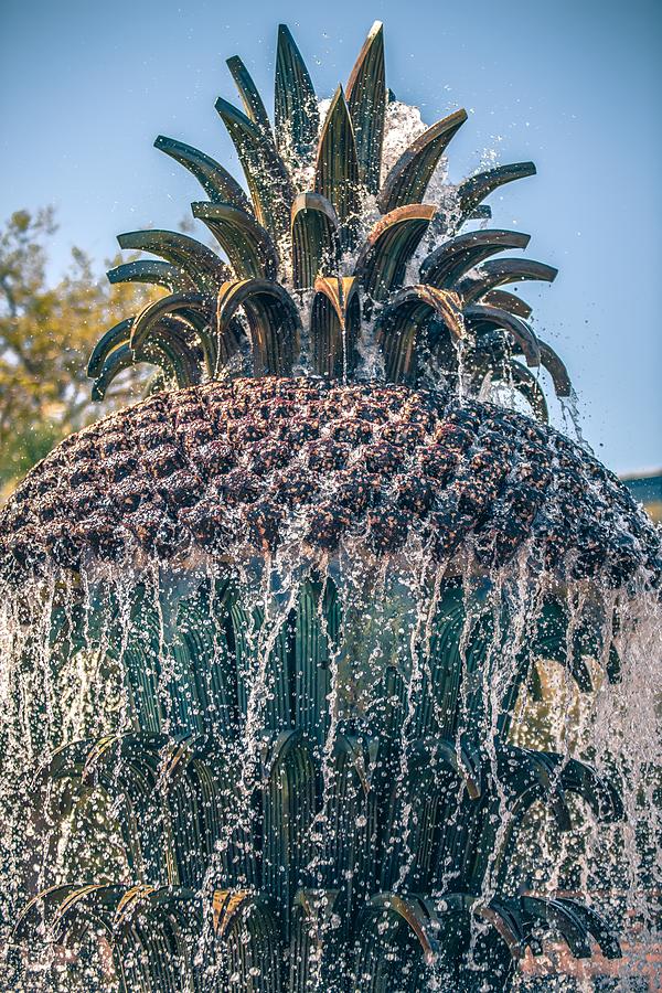 The Pineapple Fountain, at the Waterfront Park in Charleston, So #11 Photograph by Alex Grichenko