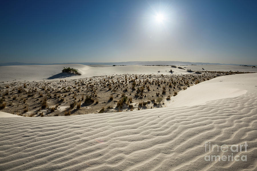 White Sands National Monument Photograph - The unique and beautiful White Sands National Monument in New Mexico. #4 by Jamie Pham