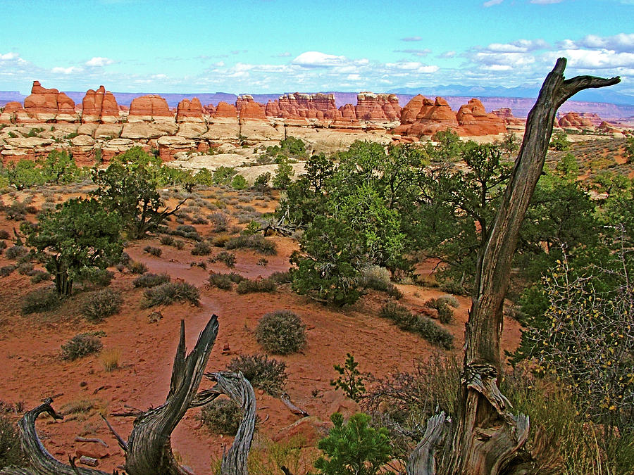 Trail to Chesler Park Viewpoint in  Needles District in  Canyonlands National Park, Utah #11 Photograph by Ruth Hager