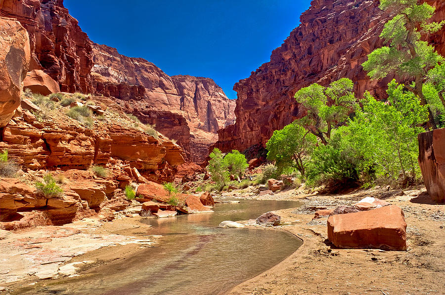 Paria Canyon-Vermillion Cliffs Wilderness Photograph by Arlene Waller