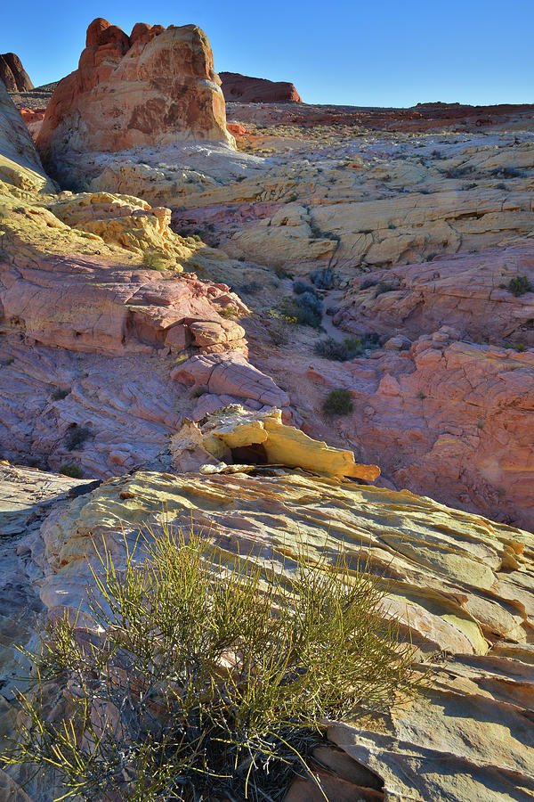 Valley of Fire Back Country #11 Photograph by Ray Mathis