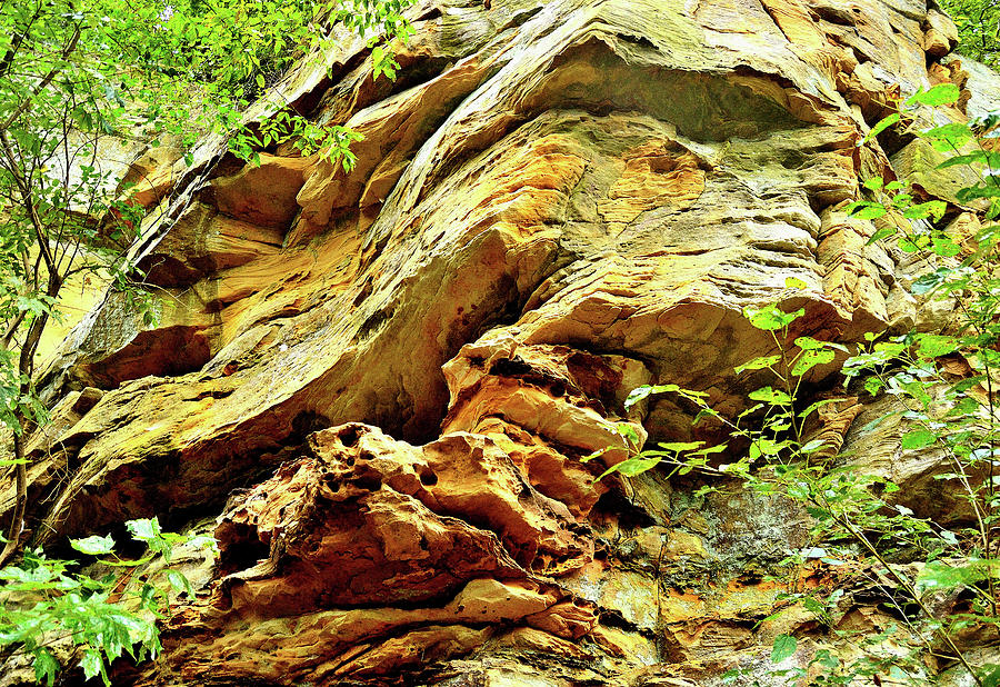 Wildcat Den State Park - Muscatine, IA #11 Photograph by Sherri Hasley ...