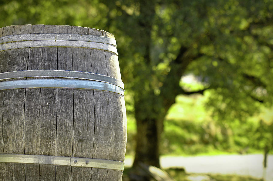 Wine Barrel #10 Photograph by Brandon Bourdages