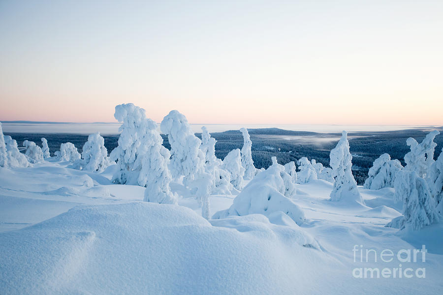 Winter in Lapland Finland #11 Photograph by Kati Finell