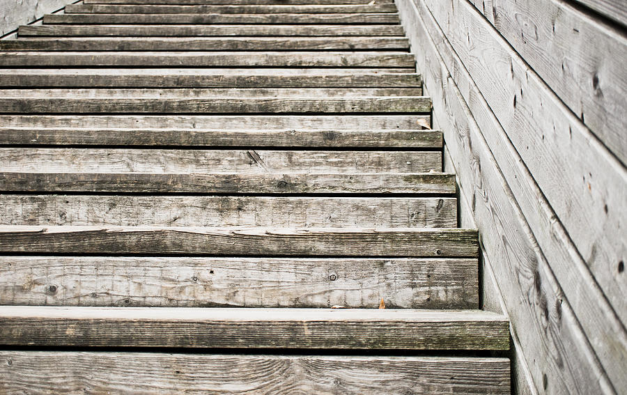 Architecture Photograph - Wooden steps #11 by Tom Gowanlock