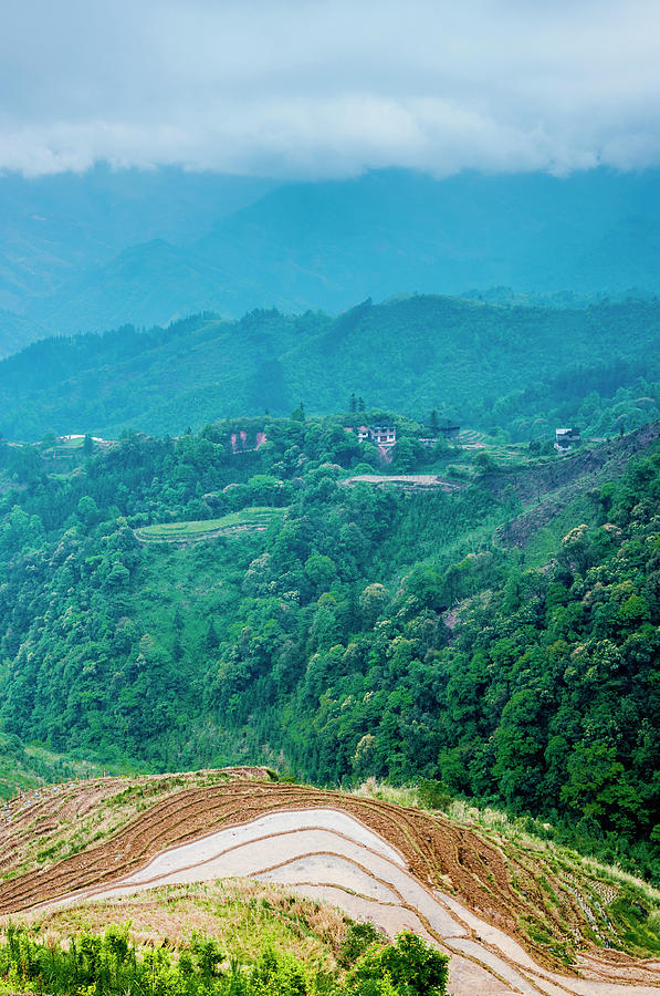 Longji terraced fields scenery #110 Photograph by Carl Ning