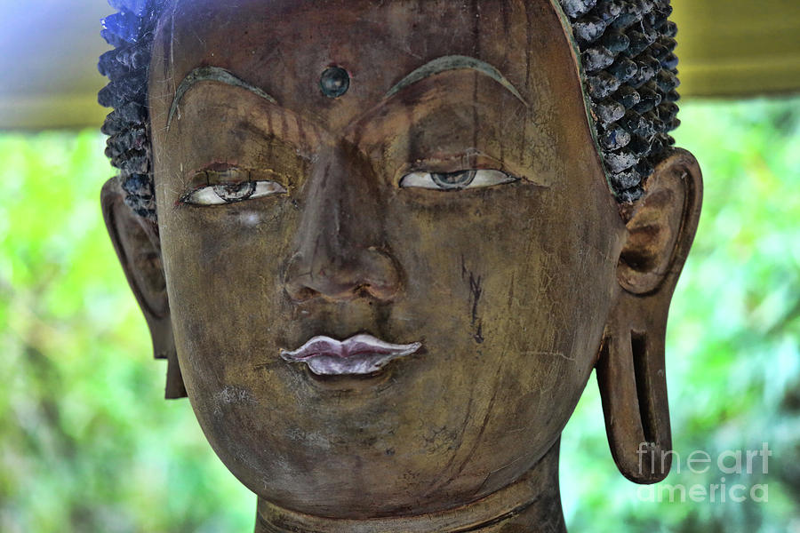 1101 Buddha Built Face  Photograph by Chuck Kuhn