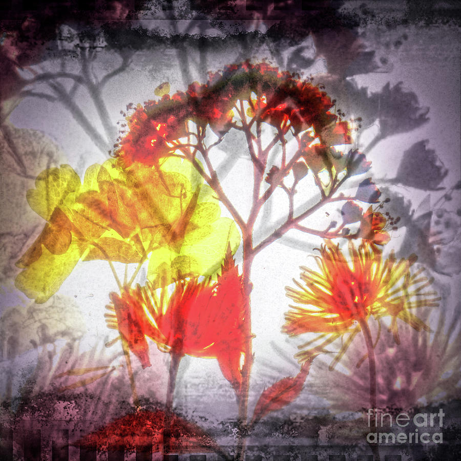 11311 Flower Abstract Series 03 #11 Digital Art