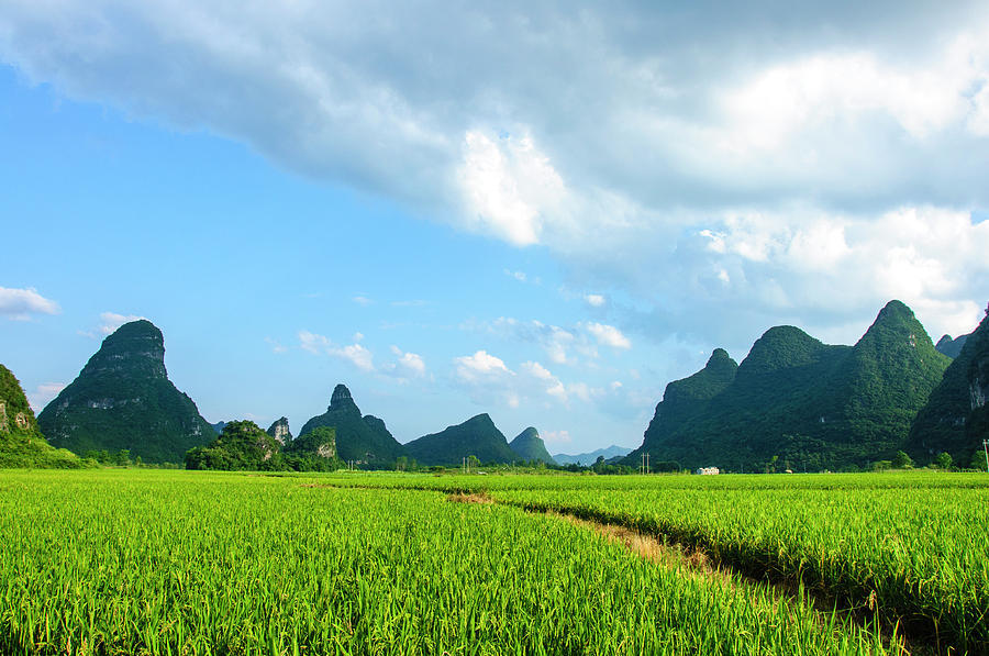 The beautiful karst rural scenery Photograph by Carl Ning - Fine Art ...