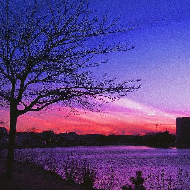 Sunset Photograph - Purple Sunset by Lauren Fitzpatrick