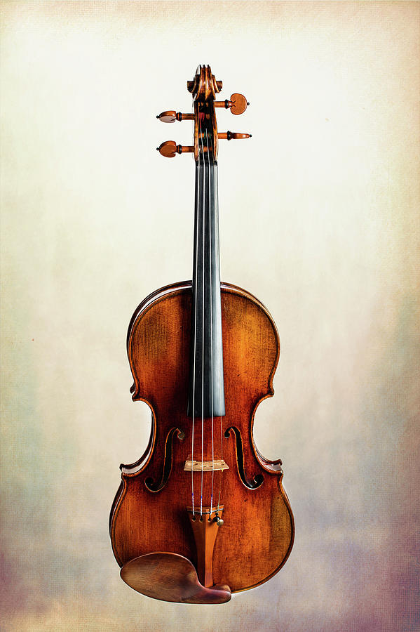 117 .1841 Violin by Jean Baptiste Vuillaume Photograph by M K Miller