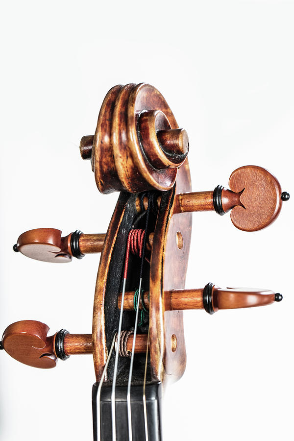 119 .1841 Violin by Jean Baptiste Vuillaume Photograph by M K Miller