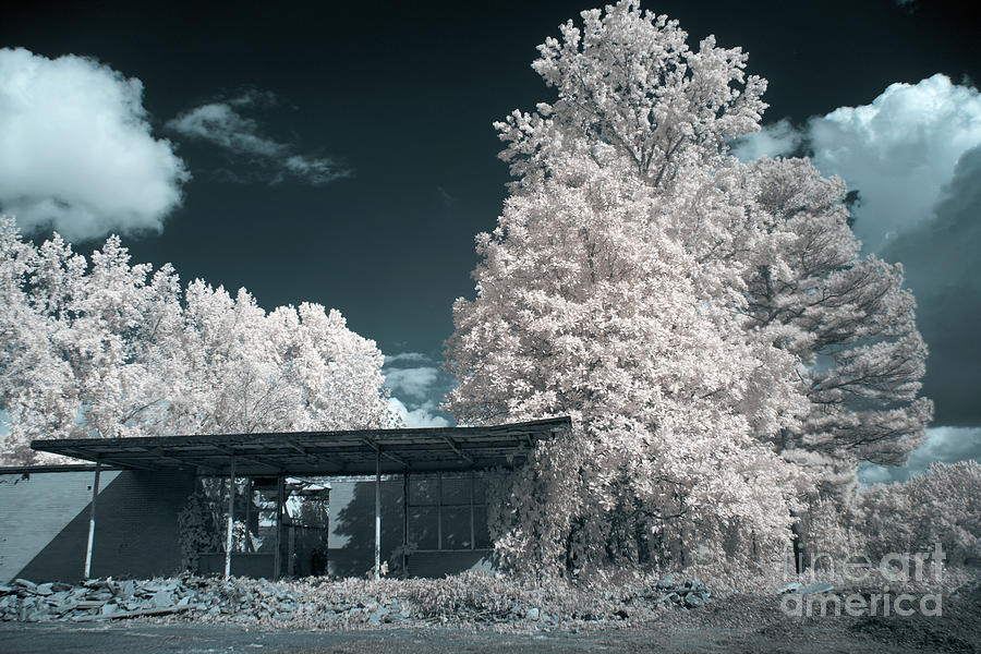 Infrared  #119 Photograph by FineArtRoyal Joshua Mimbs