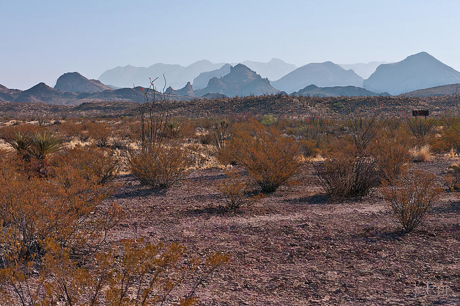 11976 Chihuahuan Desert Photograph by John Prichard