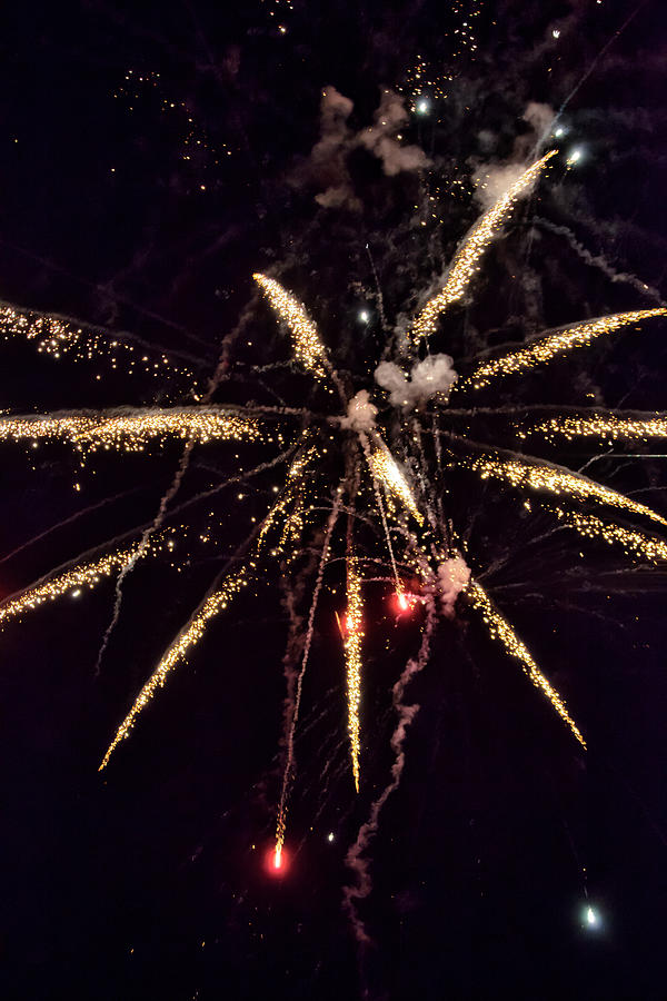 A shining colorful firework #12 Photograph by Gina Koch