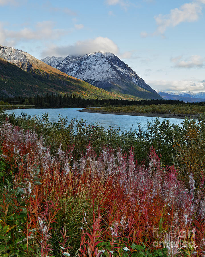 Alaska #12 Photograph by Steve Javorsky