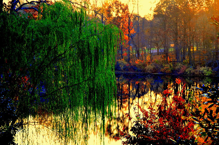Autumn Colors #12 Digital Art by Aron Chervin
