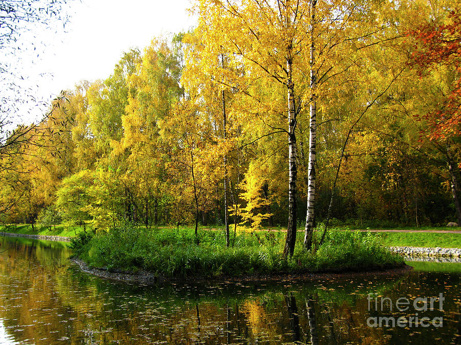 Autumn landscape #12 Photograph by Irina Afonskaya