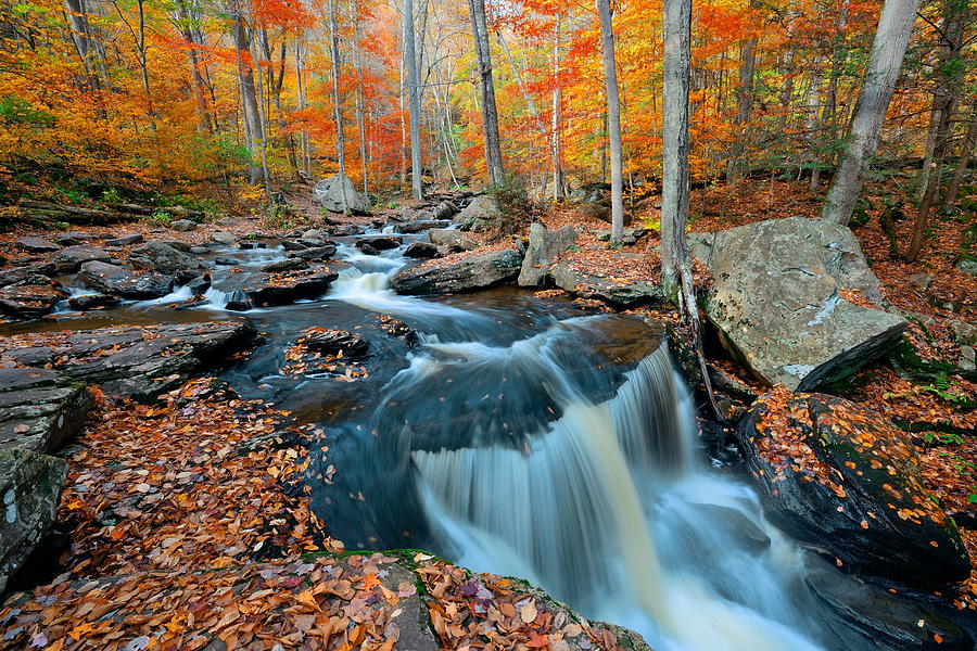 Autumn waterfalls #12 Photograph by Songquan Deng