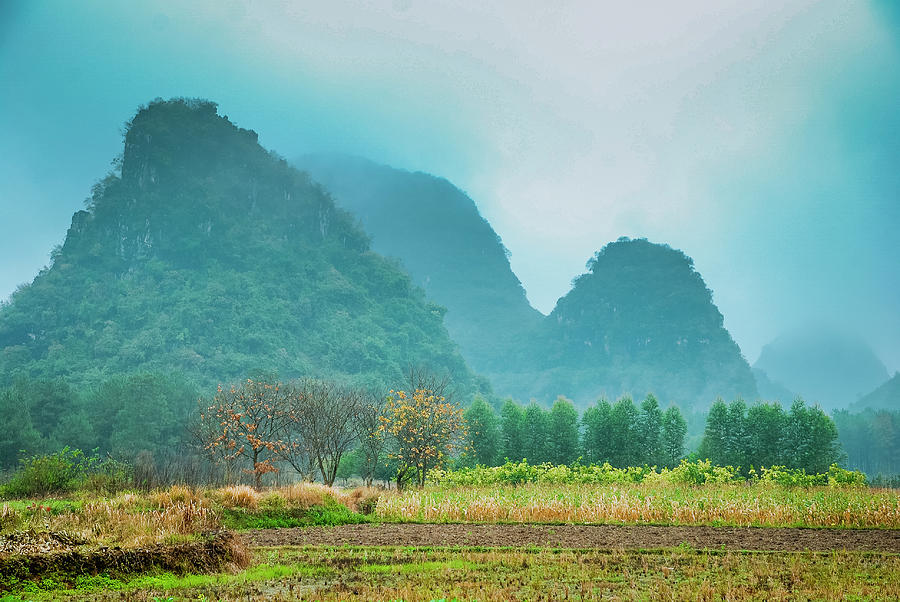 Beautiful countryside scenery in autumn #12 Photograph by Carl Ning